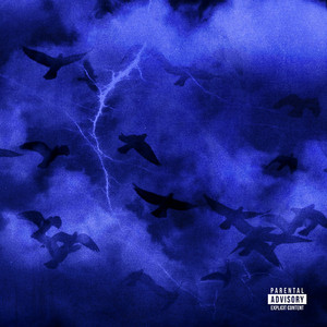 无码内射天天久久毛国产
